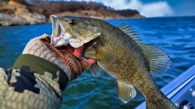 20 Best Bass Lures Of All Time 2024 Guide To The Top Bait Bass N Edge