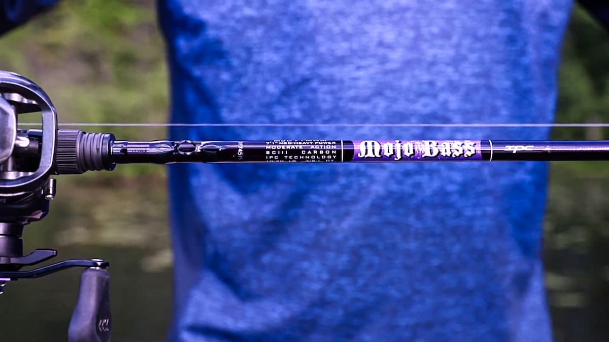 How to pick your rod action?, Fast and moderate-fast action - SUSTAIN  Spinning rod!