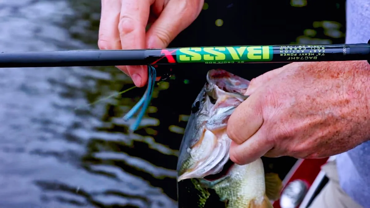 Best Baitcasting Rods for Bass in 2023