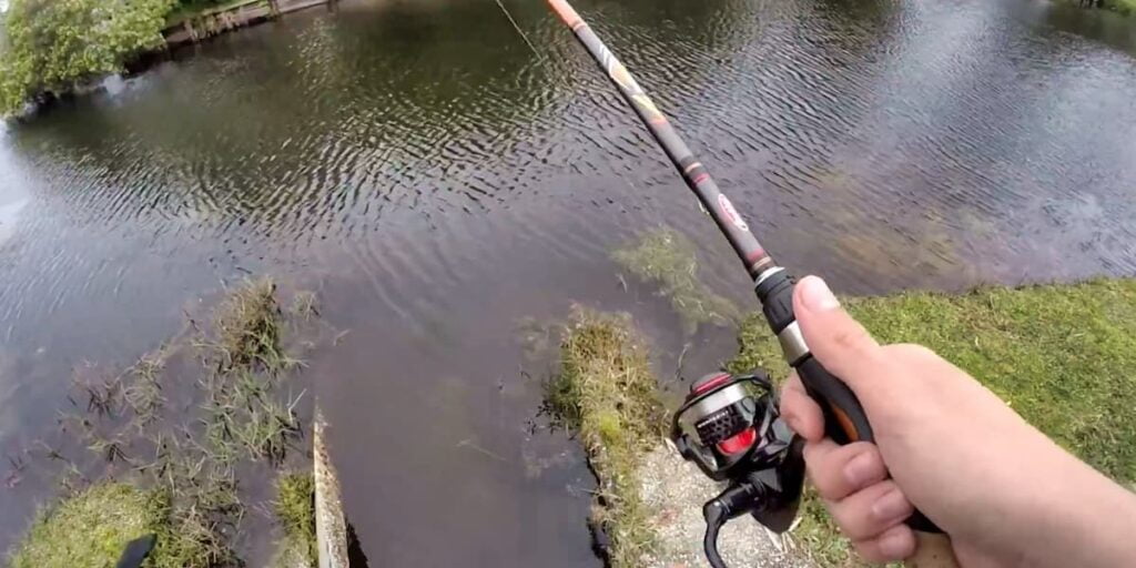 Okuma Ceymar C-30 Review an awesome Reel for under $50 