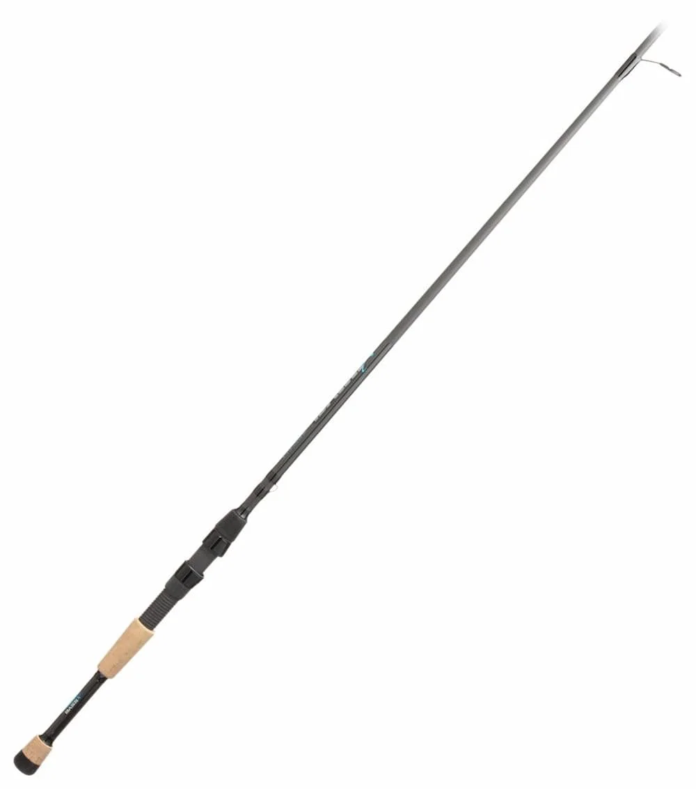 best 10ft spinning rod