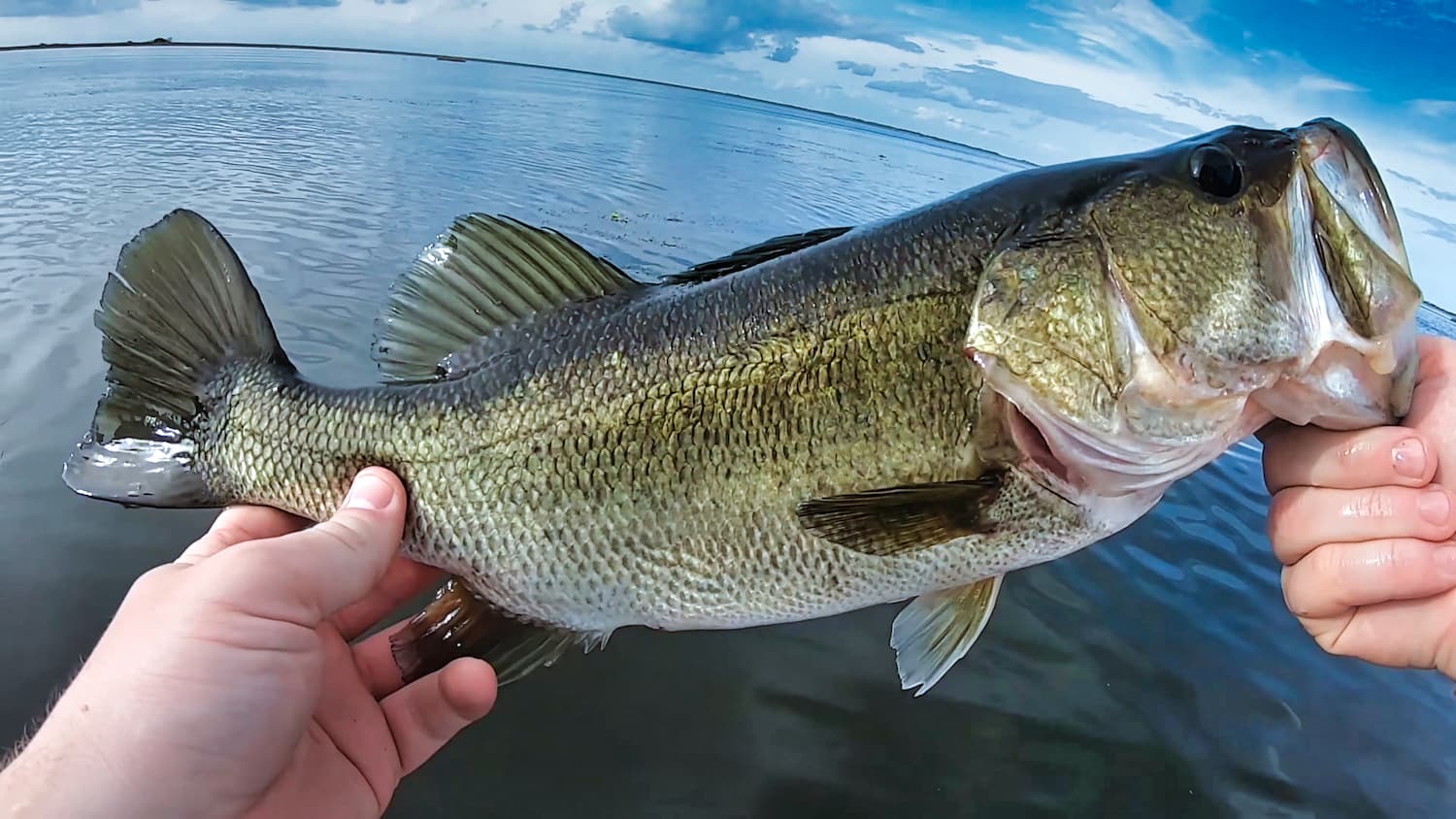 https://www.bassnedge.com/wp-content/uploads/2022/03/fishing-for-bigmouth-bass.jpg