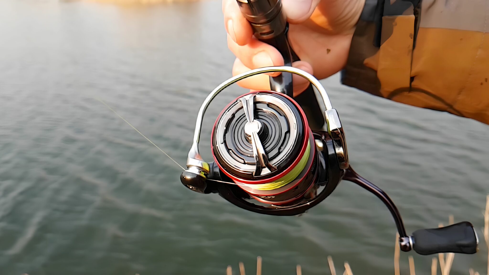 Daiwa Ballistic MQ LT Spinner Review - Bass N Edge