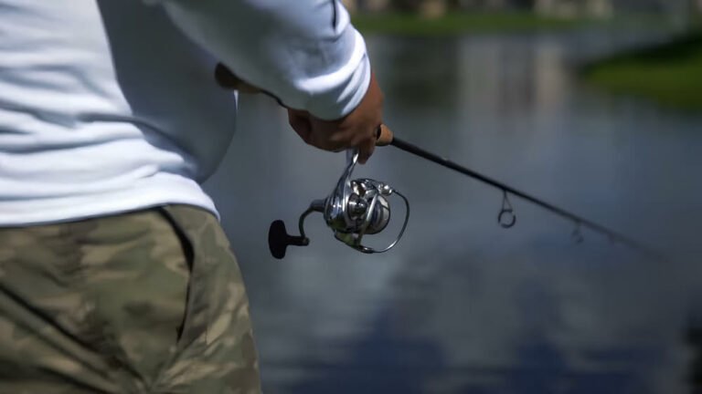 Daiwa Procyon Mq Lt Review Bass N Edge