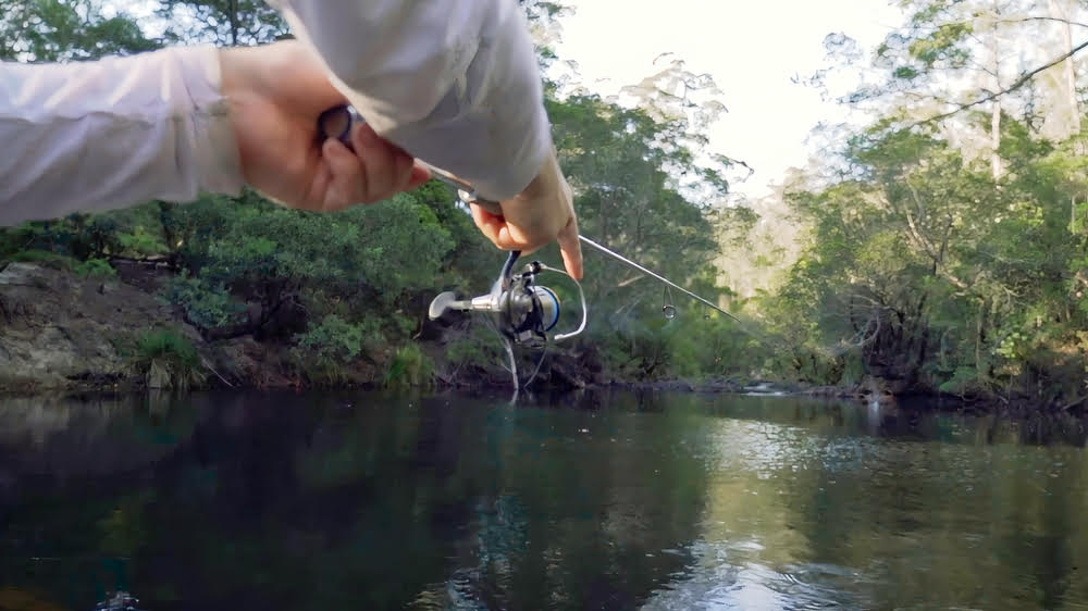 Daiwa Improves CERTATE Spinning Reel Series - Fishing Tackle