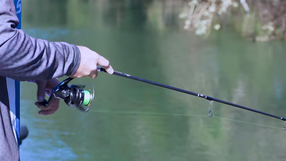 Shimano Sustain FJ Spinning Reel Review - Bass N Edge